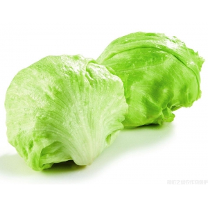 圆生菜不结球的解决办法